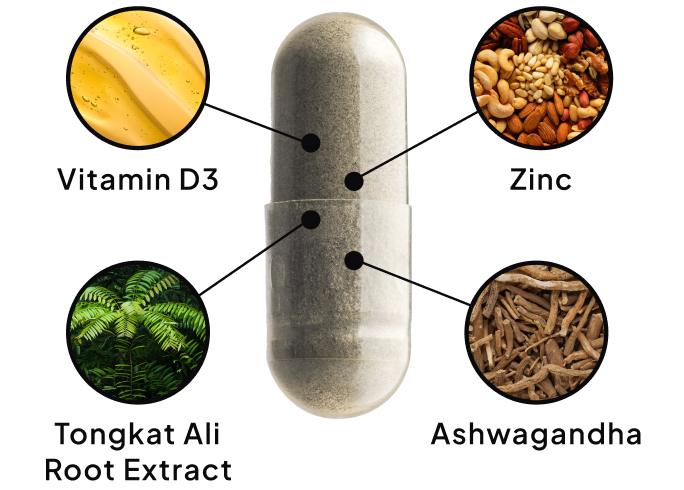 SpiritMax product ingredients